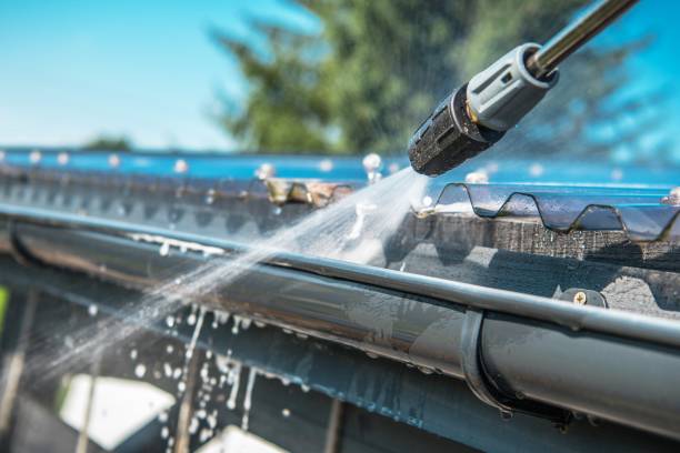 Best Pressure Washing Near Me  in Mmaduke, AR