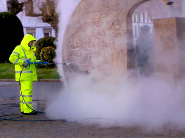 Best Residential Pressure Washing Services  in Mmaduke, AR